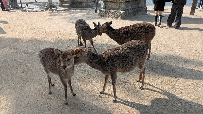 кει$υкεさんの音戸温泉のサ活写真