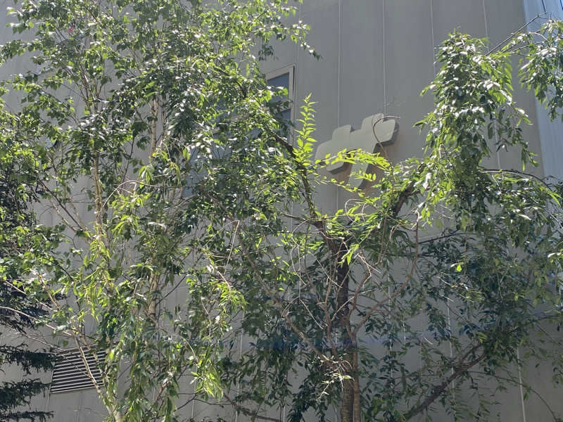 せいらさんの渋谷SAUNASのサ活写真