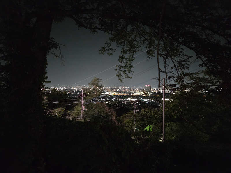 ガチョクさんの観音山サウナ蒸寺のサ活写真