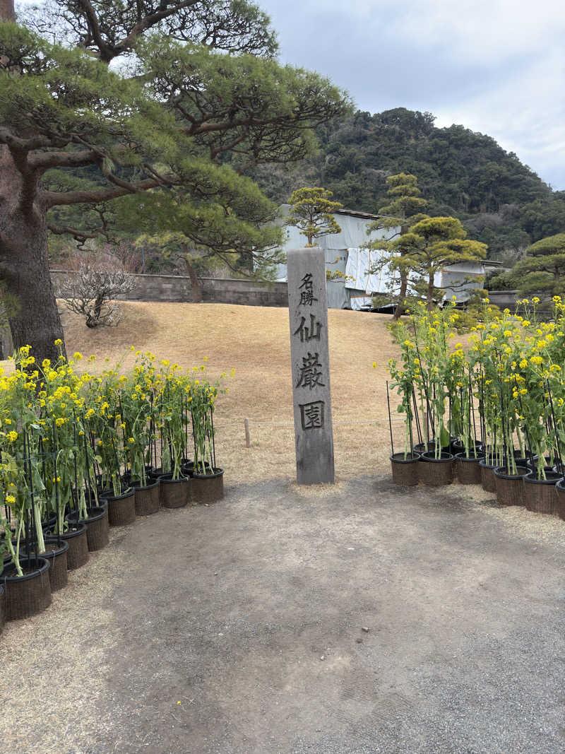 ゆうさんの霧島温泉のサ活写真