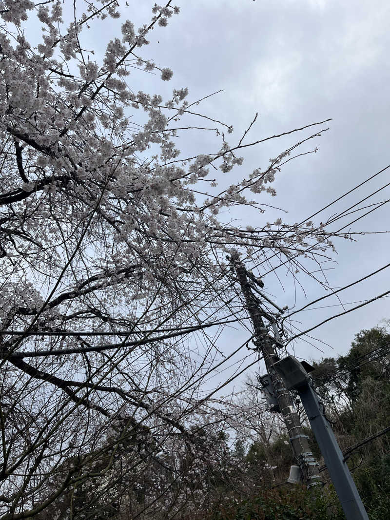 めひじきさんのサウナゆげ蔵のサ活写真