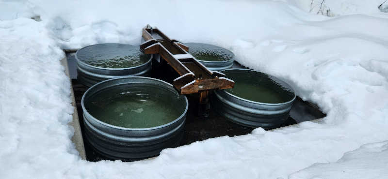 YsさんのOJIYA SAUNA DENのサ活写真