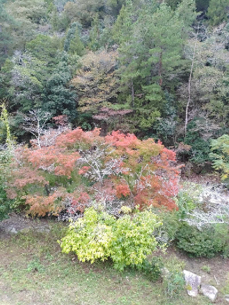 ポチさんの桃太郎温泉 一湯館のサ活写真