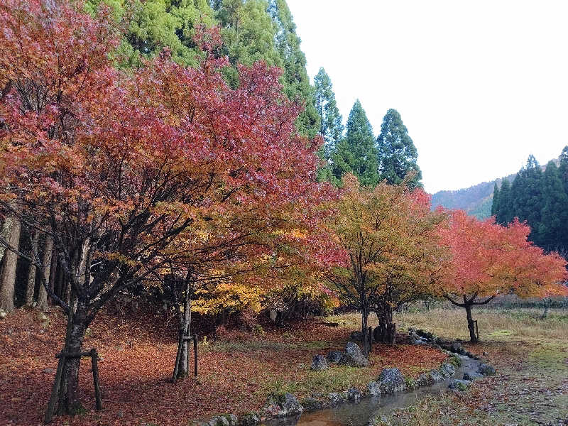 ポチさんの湯～とぴあ 黄金泉のサ活写真