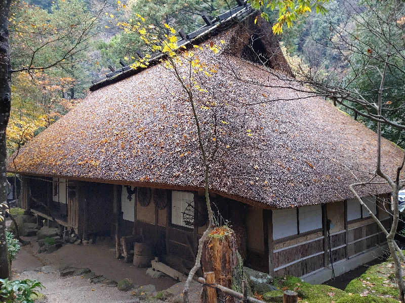 ポチさんの湯～とぴあ 黄金泉のサ活写真