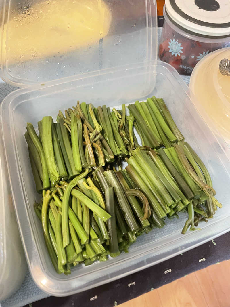 37sanさんの秋の宮山荘のサ活写真