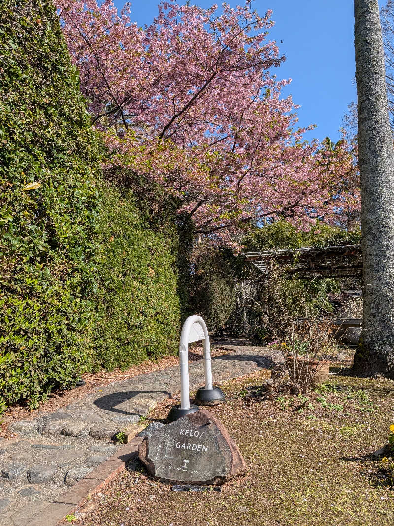 yasuさんの蓮台寺温泉 清流荘のサ活写真
