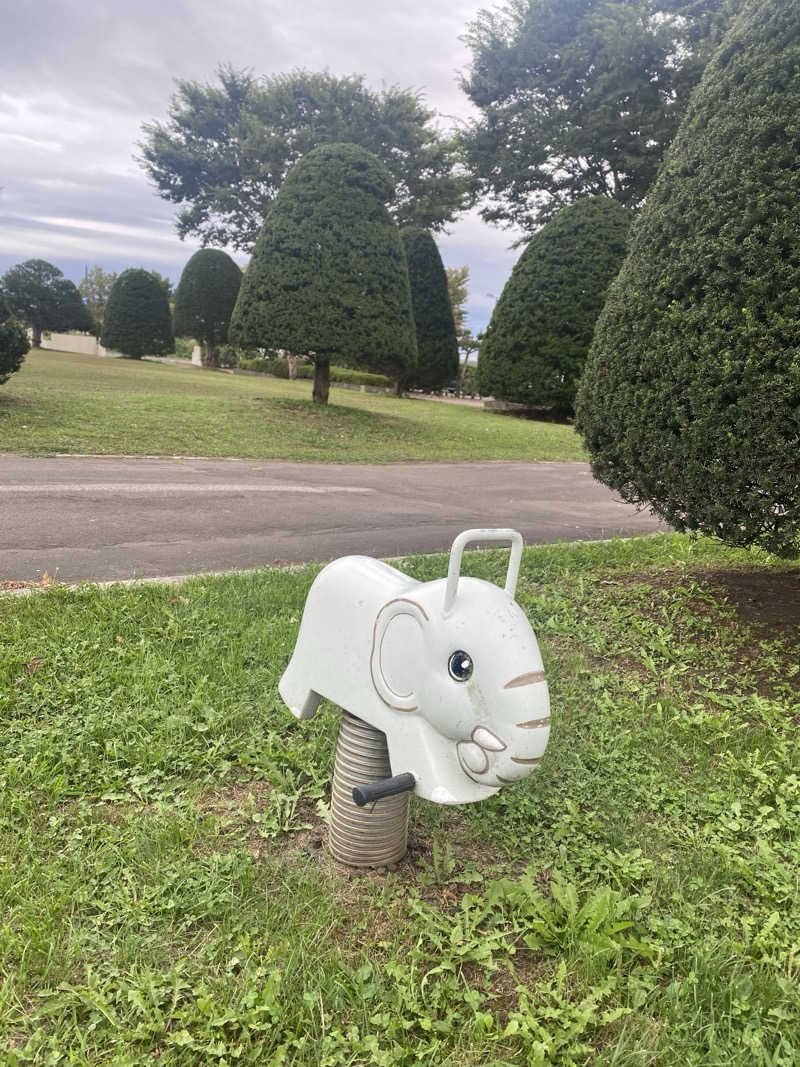 匿名サウナーさんの山の手温泉のサ活写真