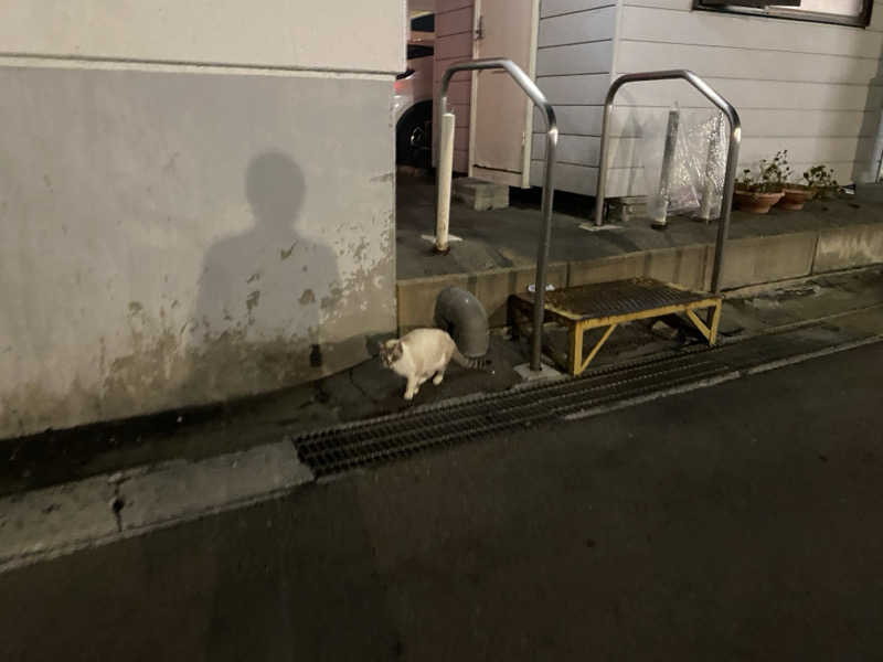 匿名サウナーさんの花園温泉のサ活写真