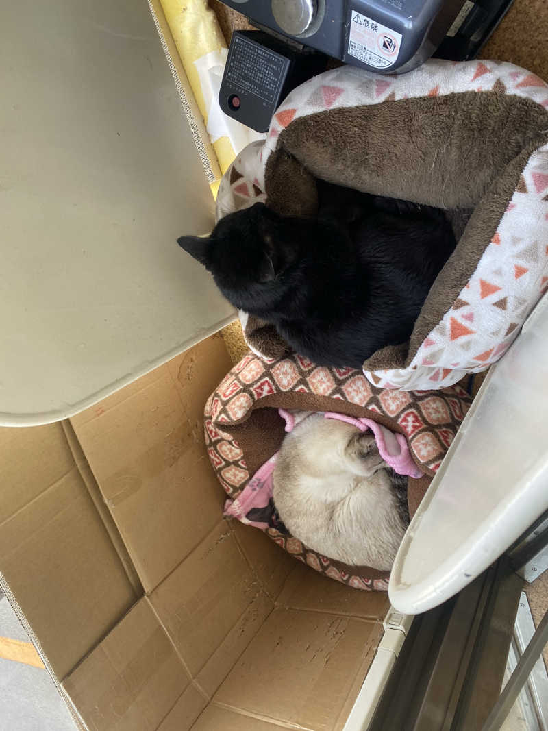 匿名サウナーさんの花園温泉のサ活写真