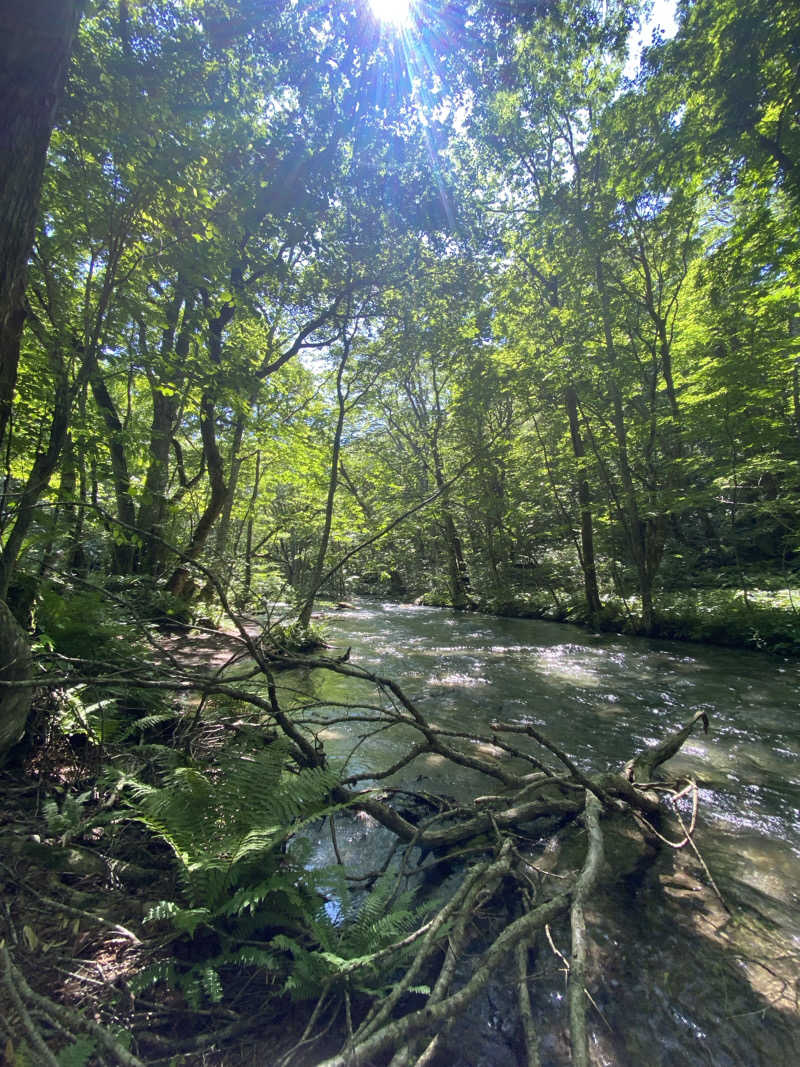 匿名サウナーさんのユーランドホテル八橋のサ活写真