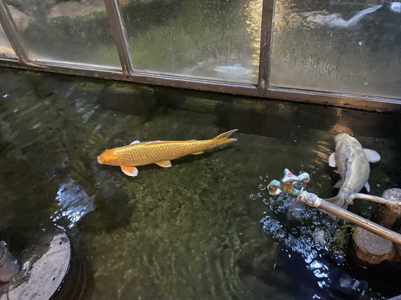 匿名サウナーさんの花園温泉のサ活写真