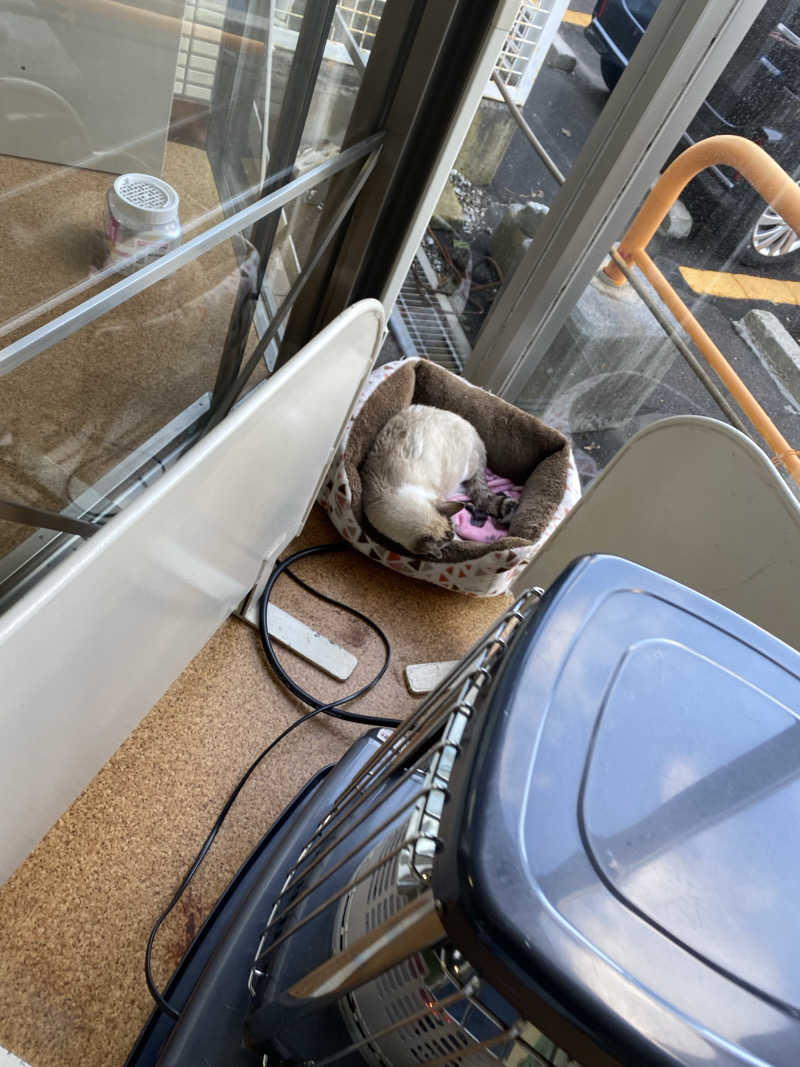 匿名サウナーさんの花園温泉のサ活写真