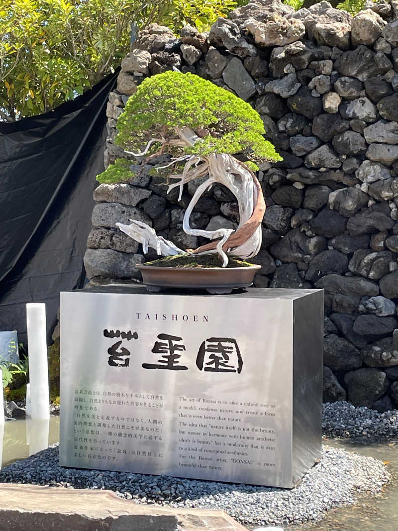 にゃきにゃんさんの東静岡 天然温泉 柚木の郷のサ活写真