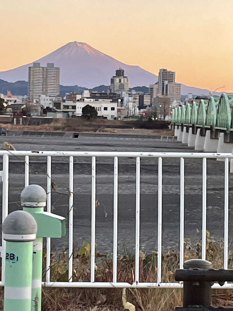 にゃきにゃんさんの用宗みなと温泉のサ活写真