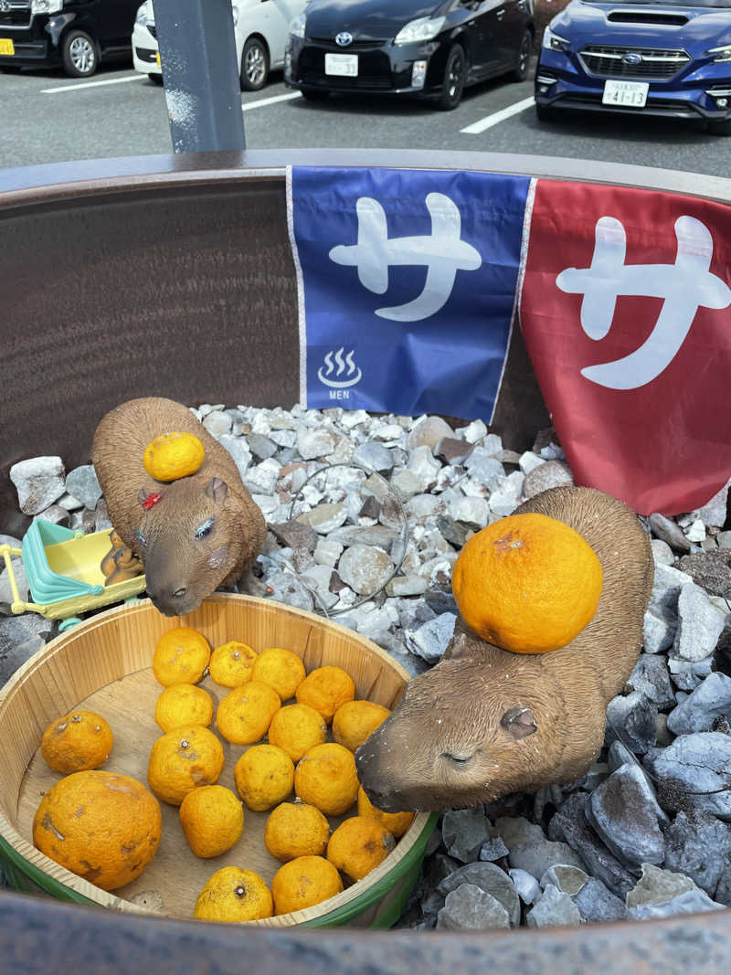 にゃきにゃんさんの富士山天然水SPA サウナ鷹の湯のサ活写真