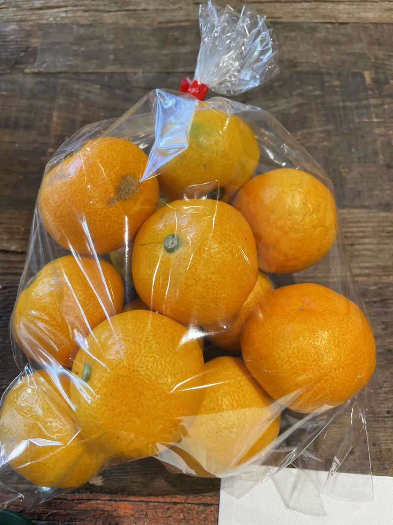 にゃきにゃんさんの用宗みなと温泉のサ活写真