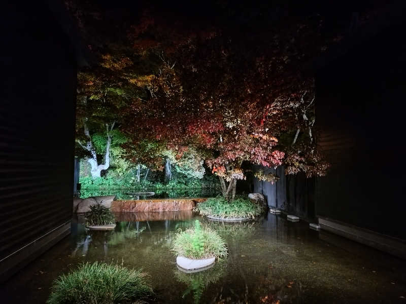 まるさんの星野温泉 トンボの湯のサ活写真