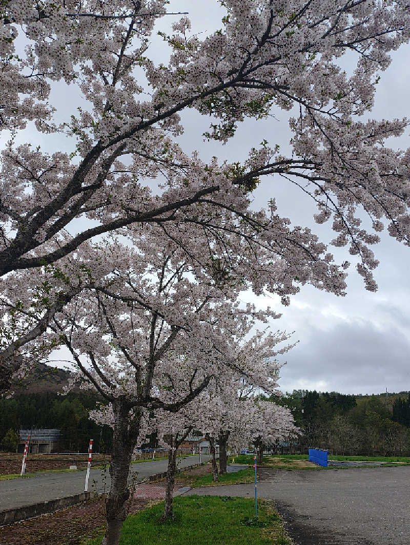 mとさんの天然温泉・お食事処 花の湯のサ活写真