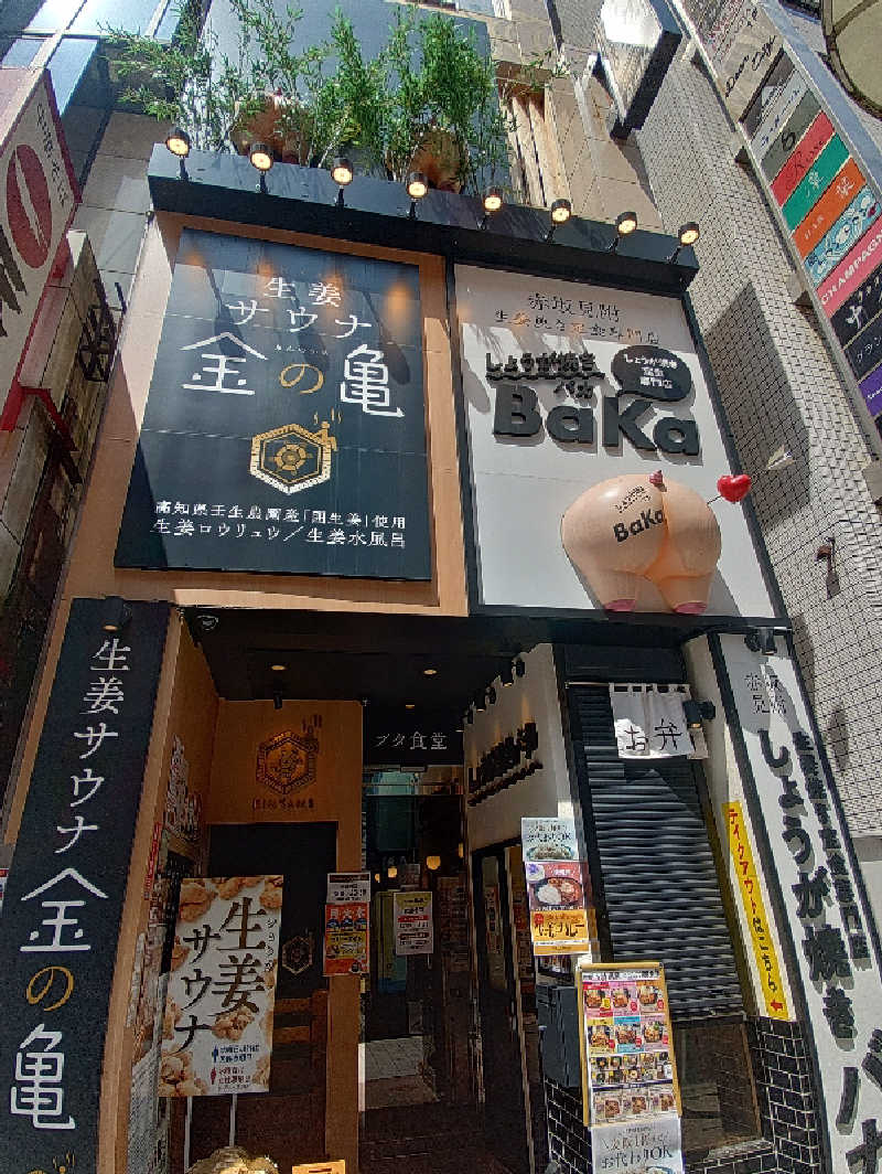 mとさんの生姜サウナ「金の亀」のサ活写真