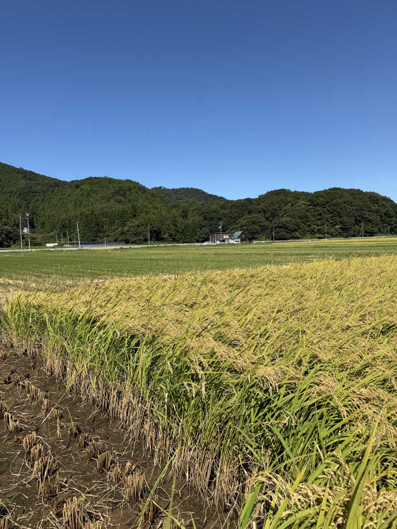 Senakaさんの庄内おばこの里 こまぎのサ活写真