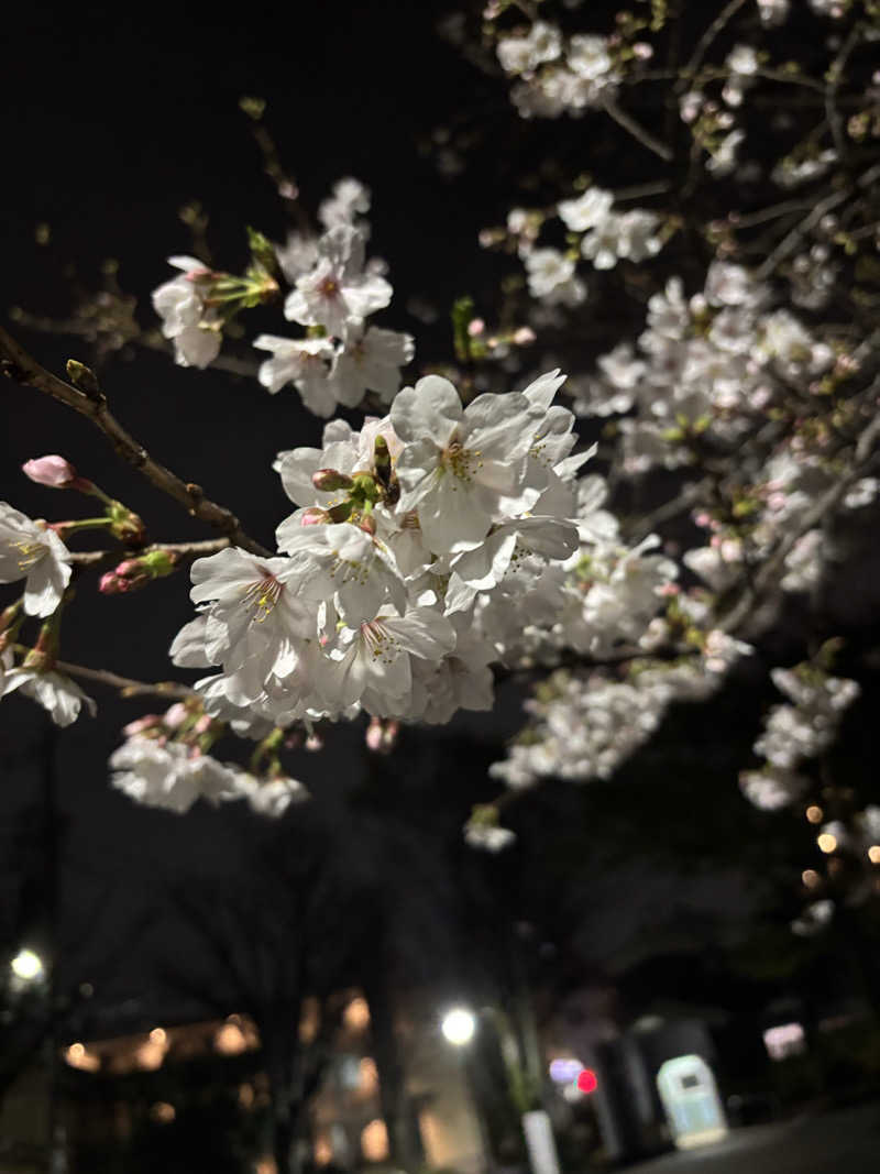 蒸しランクスさんの若松湯のサ活写真