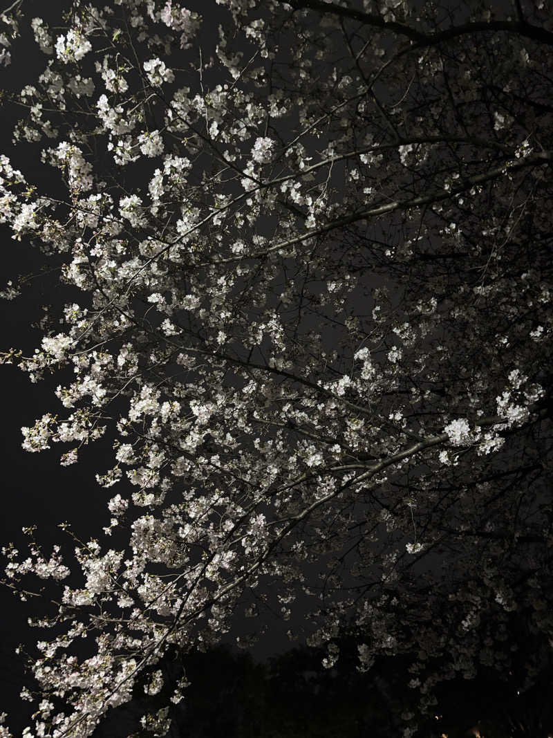 蒸しランクスさんの曙湯のサ活写真
