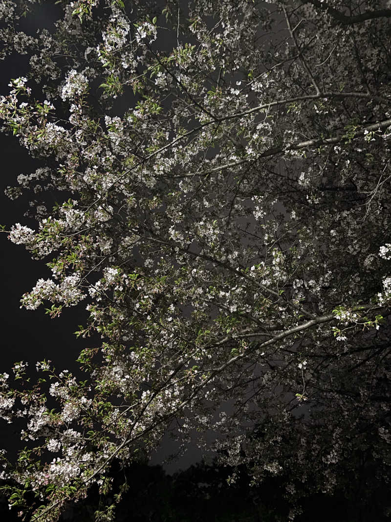 蒸しランクスさんの曙湯のサ活写真