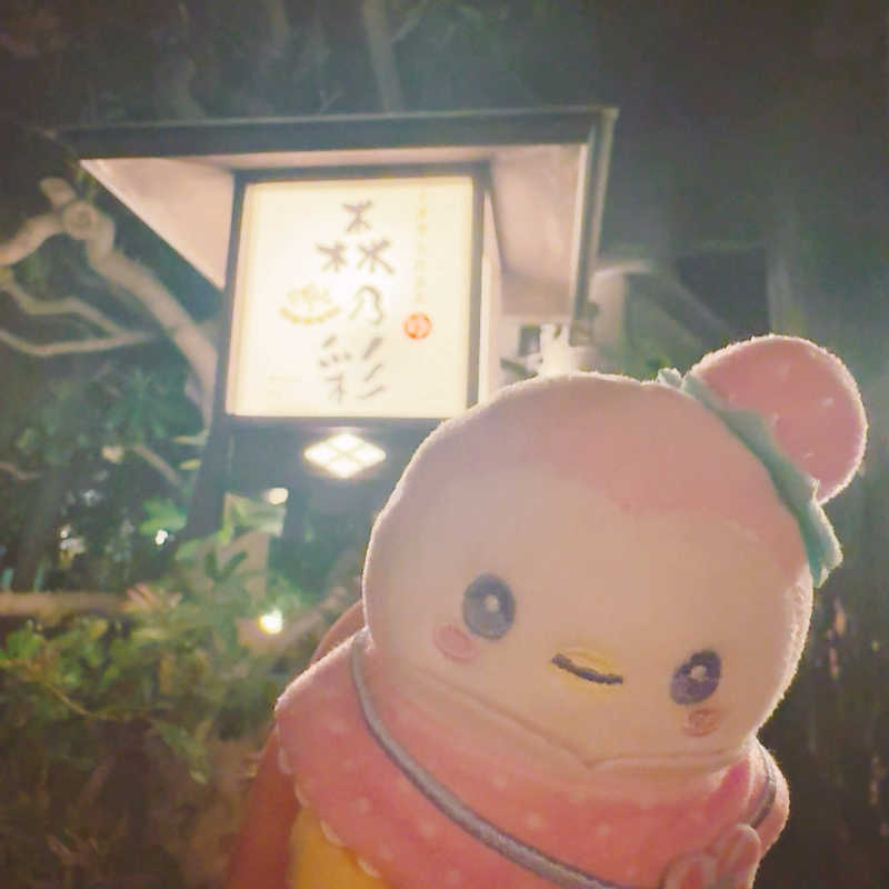 kittyさんの多摩境天然温泉 森乃彩のサ活写真