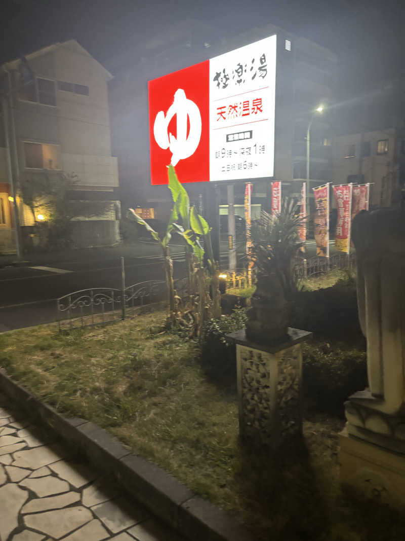 でぃーきんぐさんの極楽湯 ロイヤル川口のサ活写真