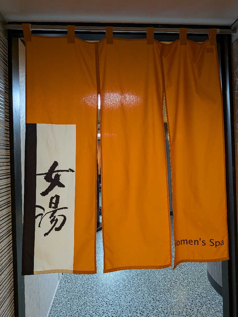 ドラミちゃんさんのアパホテル 大垣駅前のサ活写真