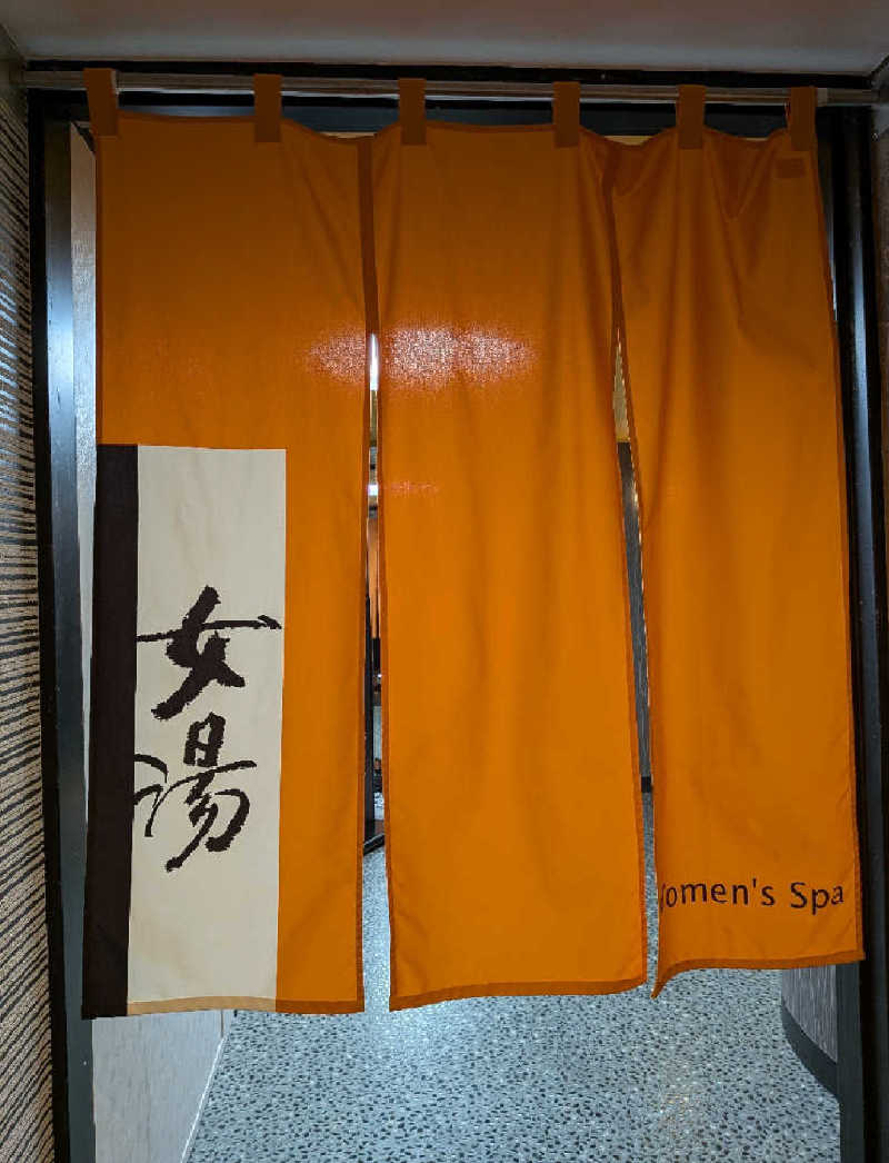 ドラミちゃんさんのアパホテル 大垣駅前のサ活写真