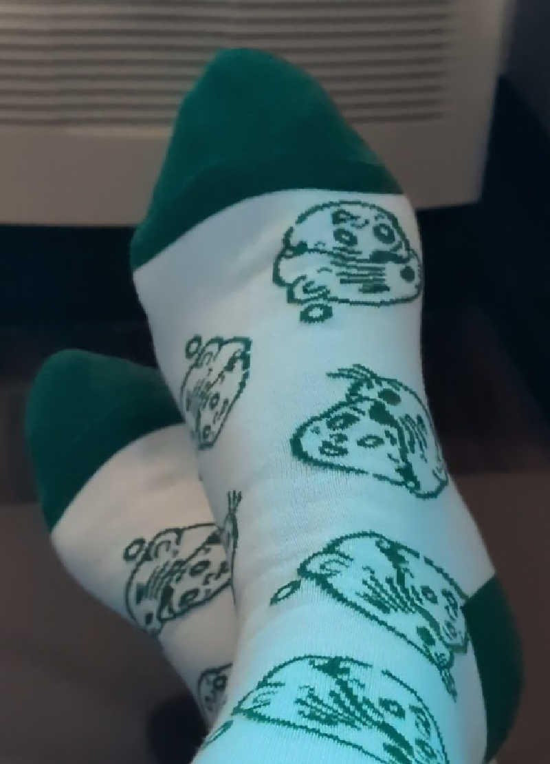 ドラミちゃんさんの湯乃泉 草加健康センターのサ活写真