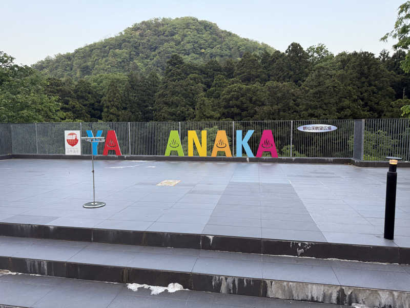 純也さんの大江戸温泉物語Premium よしのや依緑園のサ活写真