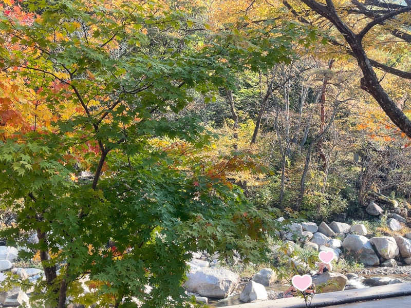 CHIEさんのMARUMORI-SAUNAのサ活写真