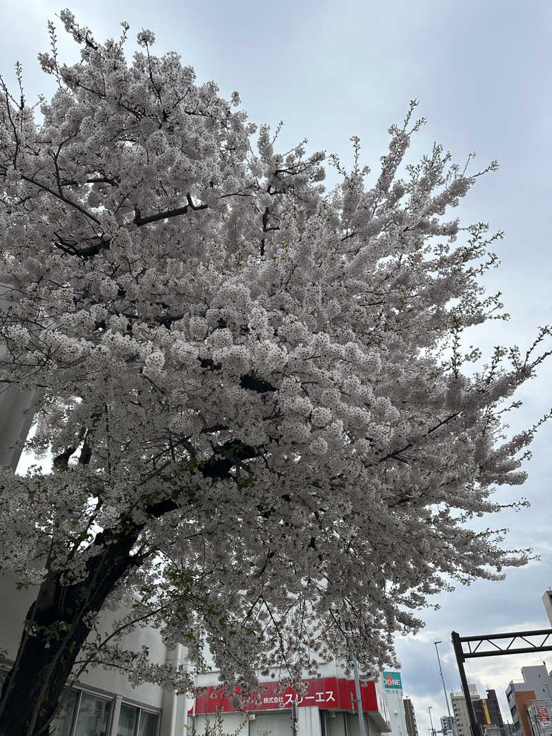 やまゆう♨️さんのザ・センチュリオンサウナレスト&ステイ札幌のサ活写真