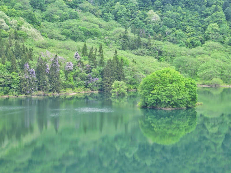 なぉさんの白川サウナのサ活写真
