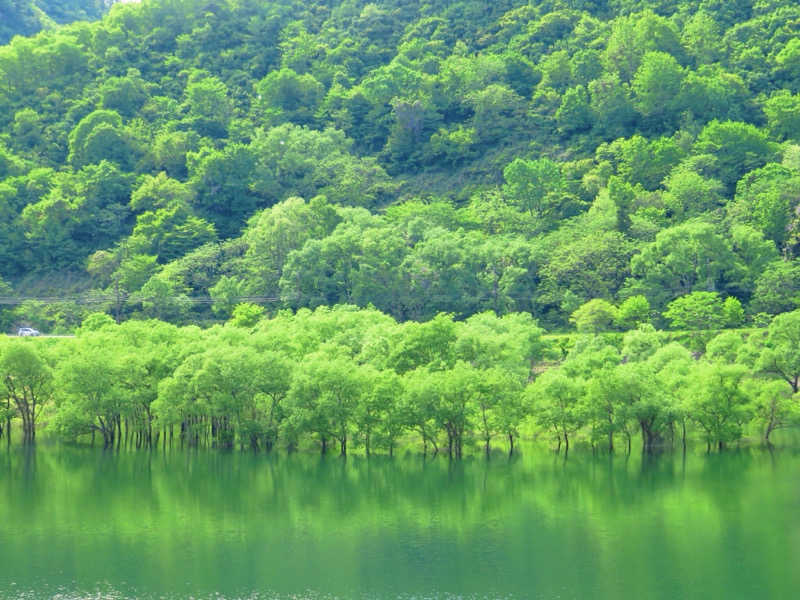 なぉさんの白川サウナのサ活写真
