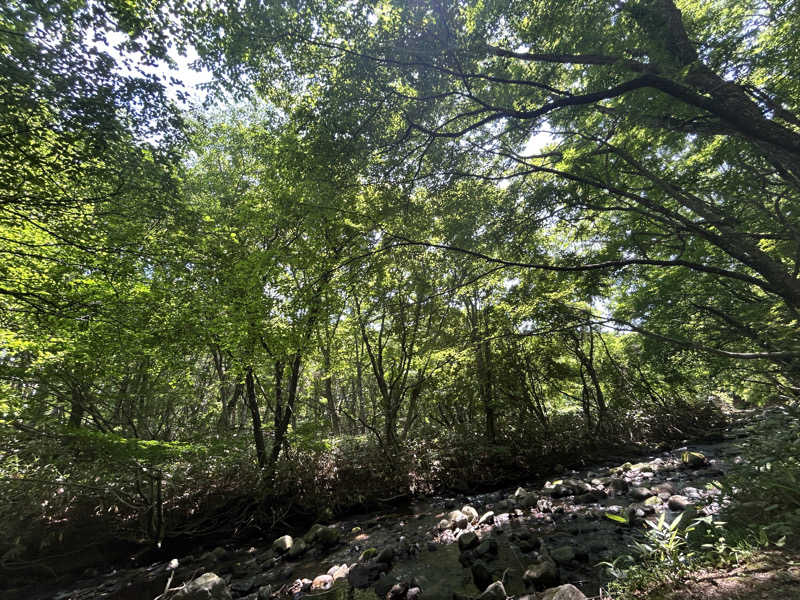 なぉさんの森のサウナ kaveri(カベリ)-エンゼルフォレスト白河高原のサ活写真