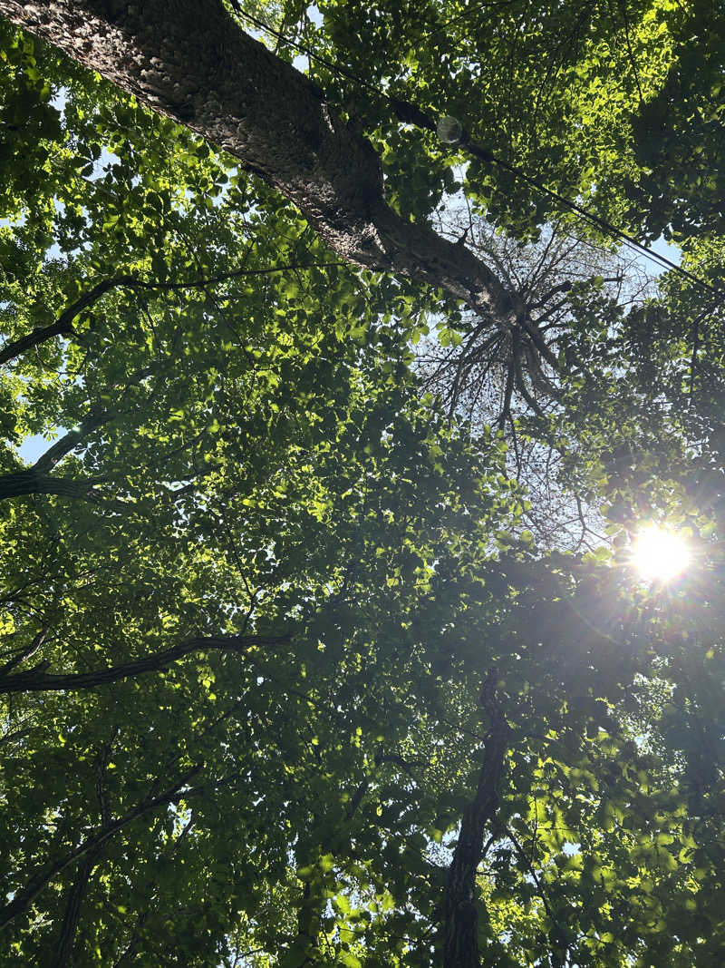 なぉさんの森のサウナ kaveri(カベリ)-エンゼルフォレスト白河高原のサ活写真