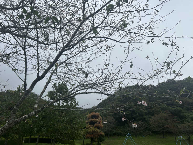 なぉさんの加護坊温泉 さくらの湯のサ活写真