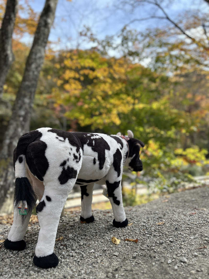 なぉさんのMARUMORI-SAUNAのサ活写真