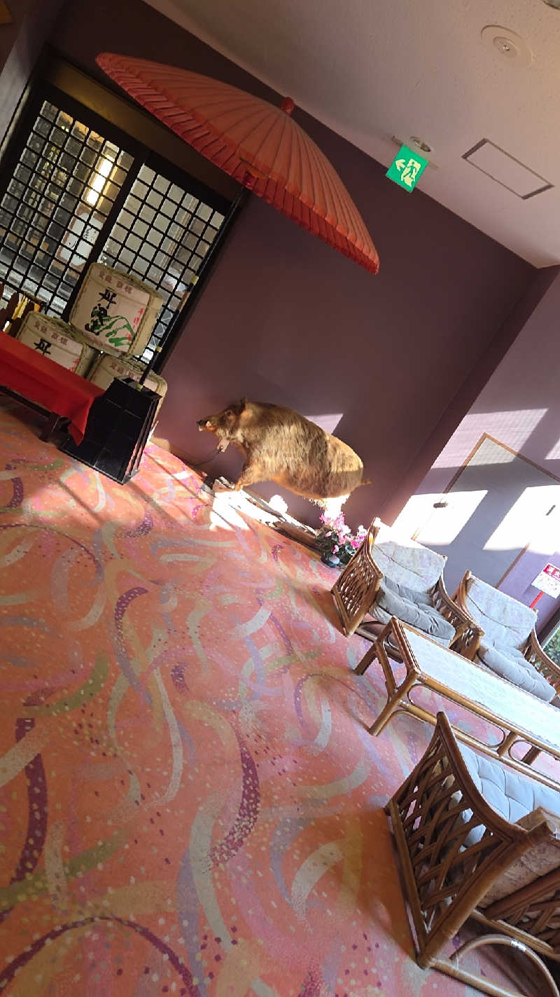 純さんのかくれ湯の里 信玄館のサ活写真