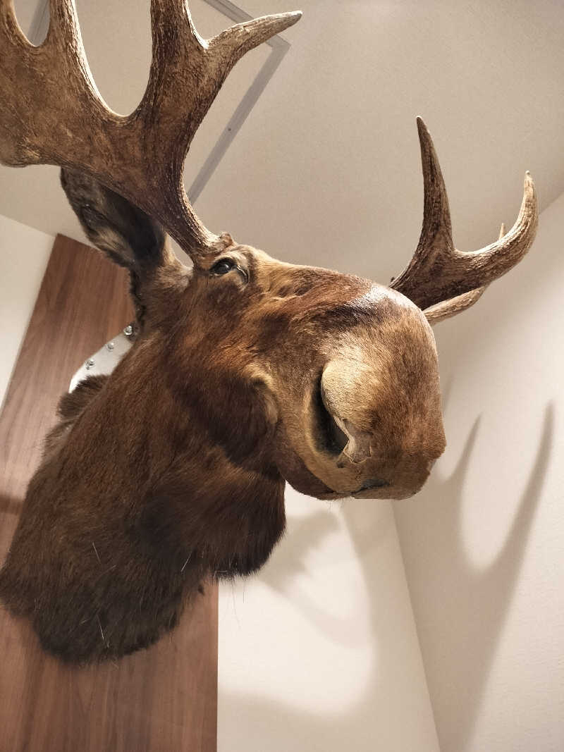 出張サウナ族さんのニュージャパン 梅田店(カプセルイン大阪)のサ活写真