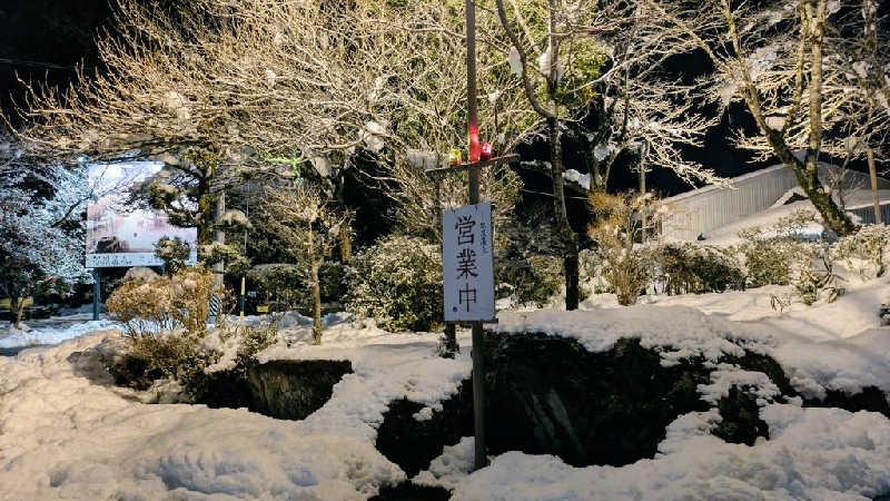 寝床にとろろさんの根尾川谷汲温泉のサ活写真