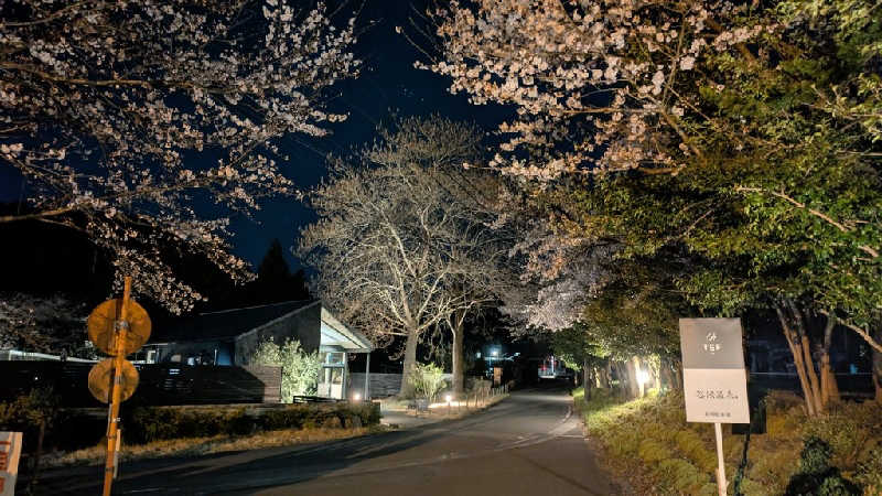 寝床にとろろさんの根尾川谷汲温泉のサ活写真
