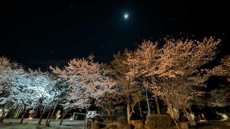 寝床にとろろさんの根尾川谷汲温泉のサ活写真