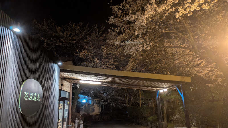 寝床にとろろさんの根尾川谷汲温泉のサ活写真