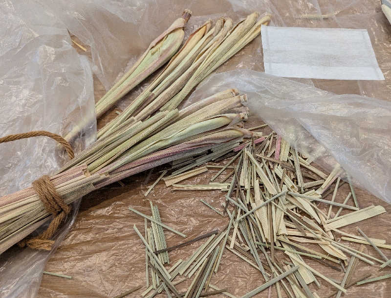 寝床にとろろさんのヤオツサウナ&スパイスのサ活写真