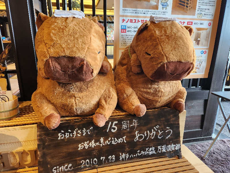 はたはたさんの神戸ハーバーランド温泉 万葉倶楽部のサ活写真